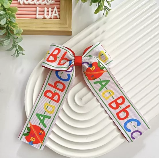 Okul temalı fiyonk pens toka 